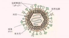 這個(gè)號(hào)稱“天下第一痛”的疾病又來(lái)了，提前做