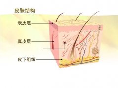 100塊和1000塊的面霜，涂在臉上效果真的會差10倍